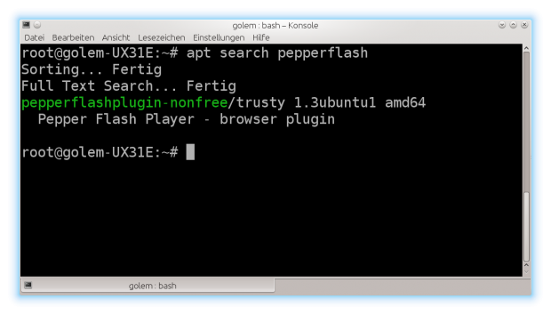 Pepperflash für Chromium (Screenshot: Golem.de)